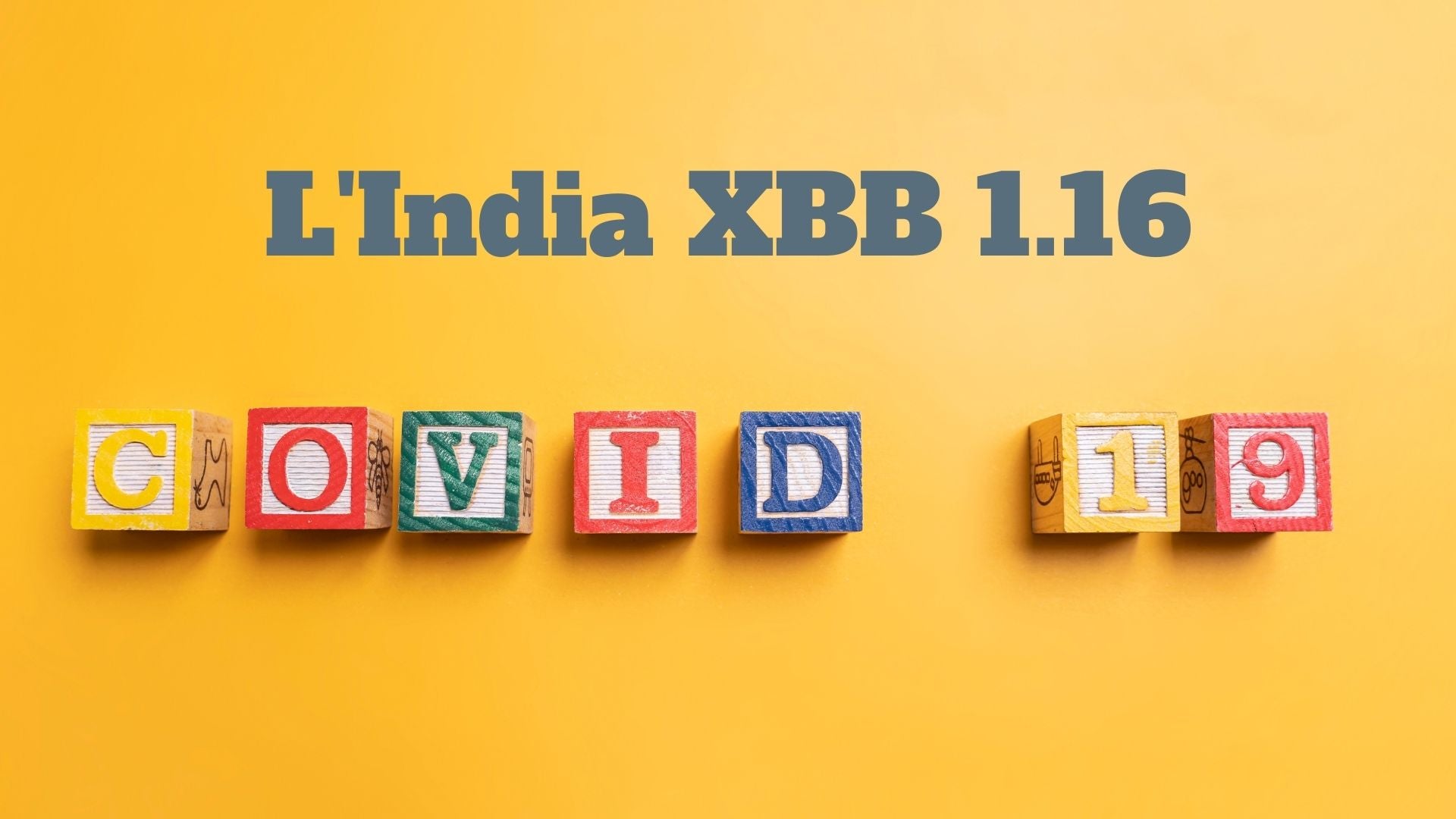 XBB1.16